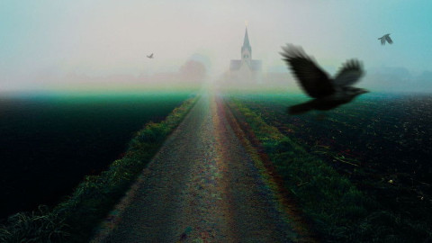 Amazing True Crime backdrop