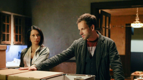 STABIL DUDE backdrop