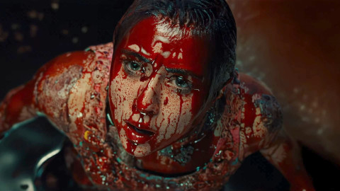 NFC - NotForChildren backdrop