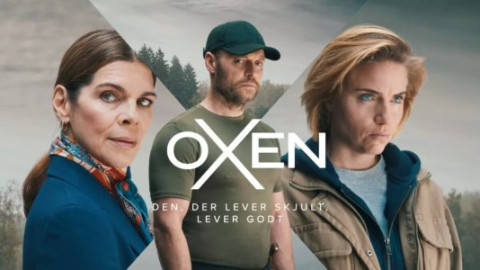 Nordic Cinema - Fjørdkino backdrop