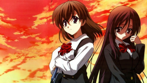 Teppich's 5/5 backdrop