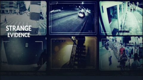 True Crime / Dokumentationen backdrop