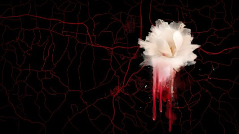True Crime / Dokumentationen backdrop