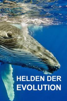 Helden der Evolution