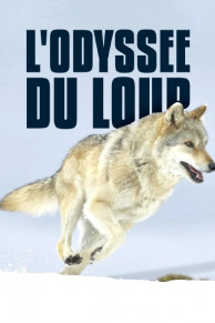 Mit den Augen des Wolfes – Auf Streifzug durch Europa