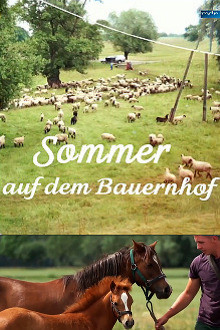 Sommer auf dem Bauernhof