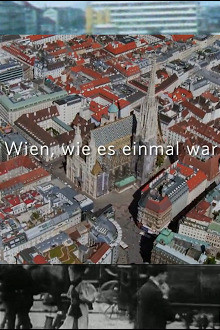 Wien, wie es einmal war