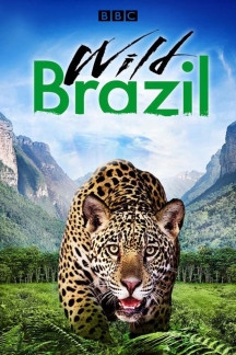 Wildes Brasilien