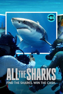 All the Sharks