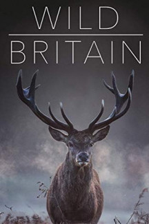 Wildes Großbritannien (2018)