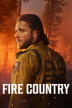 Cover Fire Country