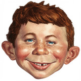 Brian_Gecko