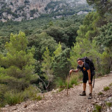 Lebendig_Sein avatar