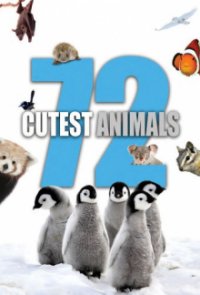 72 Cutest Animals Cover, Stream, TV-Serie 72 Cutest Animals