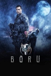 Börü - Die Wölfe Cover, Online, Poster