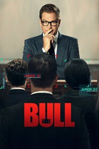 Bull Cover, Poster, Bull