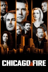 Chicago Fire Cover, Poster, Chicago Fire DVD