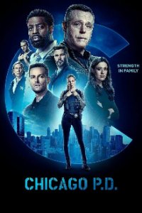 Chicago P.D. Cover, Poster, Blu-ray,  Bild