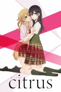 Citrus Cover, Stream, TV-Serie Citrus