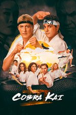 Cover Cobra Kai, Poster, Stream