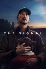 Cover Das Signal, Poster, Stream