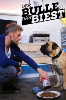 Der Bulle und das Biest, Cover, HD, Serien Stream, ganze Folge