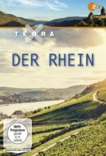 Cover Der Rhein, Poster, Stream