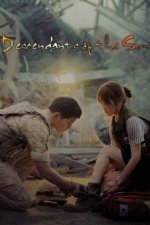 Cover Descendants of the Sun, Poster Descendants of the Sun