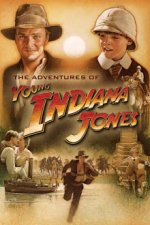 Cover Die Abenteuer des jungen Indiana Jones, Poster, Stream