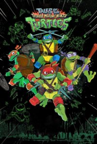 Cover Die Abenteuer der Teenage Mutant Ninja Turtles, TV-Serie, Poster