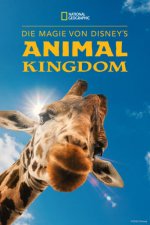 Cover Die Magie von Disney's Animal Kingdom, Poster, Stream