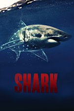 Cover Sharks - Gefürchtete Räuber, Poster Sharks - Gefürchtete Räuber