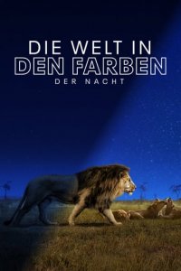 Die Welt in den Farben der Nacht Cover, Die Welt in den Farben der Nacht Poster