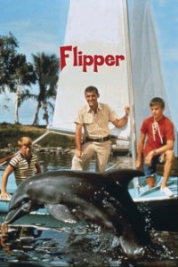 Flipper Cover, Online, Poster