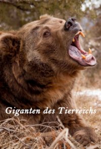 Giganten des Tierreichs Cover, Giganten des Tierreichs Poster