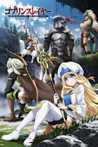 Goblin Slayer Cover, Poster, Blu-ray,  Bild