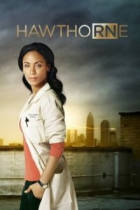 Hawthorne Cover, Online, Poster