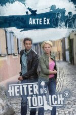 Staffel 1 Cover, Poster