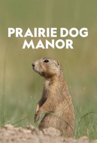 Im Reich der Präriehunde Cover, Stream, TV-Serie Im Reich der Präriehunde