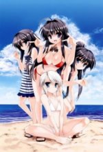 Cover Kanokon, Poster, Stream