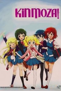 Kin`iro Mosaic Cover, Poster, Blu-ray,  Bild