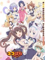 Cover Nekopara, Poster, Stream