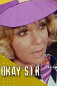 Okay S.I.R. Cover, Poster, Blu-ray,  Bild