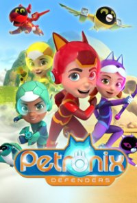 Petronix Defenders Cover, Poster, Blu-ray,  Bild