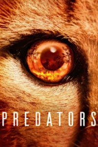 Predators - Jäger in Gefahr Cover, Predators - Jäger in Gefahr Poster