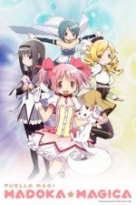 Cover Puella Magi Madoka Magica, Poster, Stream