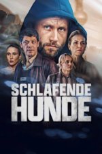 Cover Schlafende Hunde, Poster, Stream