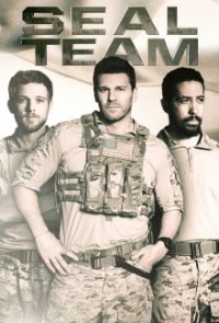 SEAL Team Cover, Online, Poster