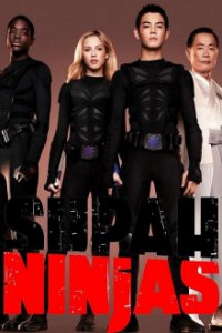 Cover Supah Ninjas, Poster Supah Ninjas