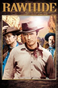 Tausend Meilen Staub Cover, Poster, Blu-ray,  Bild